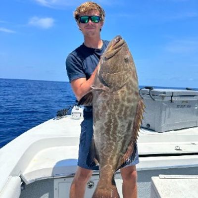 Drifting and dreaming charters