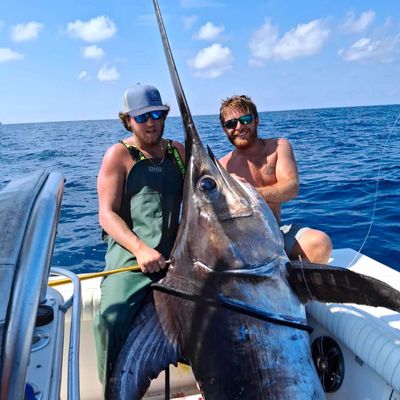 Bandit Fishing