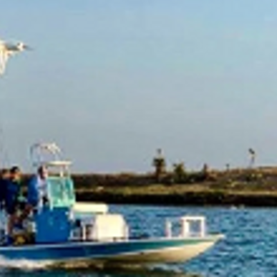 La Mosca Charters
