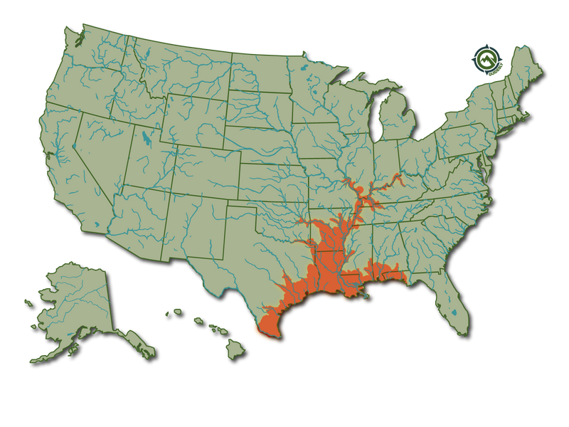 Alligator Gar United States Heatmap