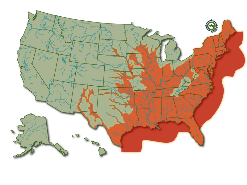 American Eel United States Heatmap