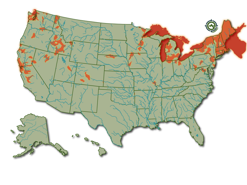 Atlantic Salmon United States Distribution Heatmap