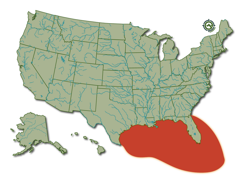 Snook_HeatMap@1600x_5c77d4175c.png