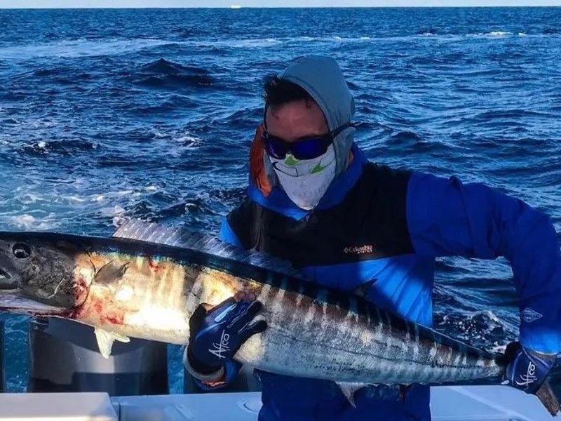 Learn About the Wahoo Fish – Fishing