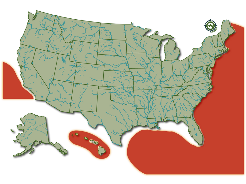 Yellowfin Tuna Heat Map
