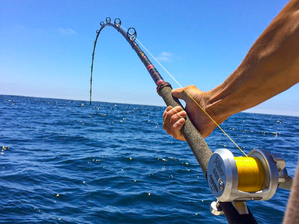 Barnstable Fishing: A Cape Cod Angler's Guide