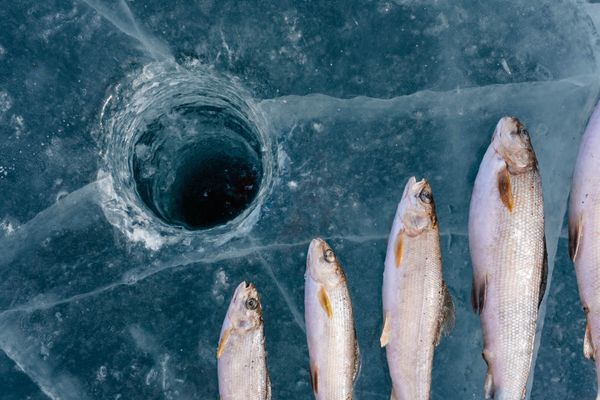 Ice Fishing: Things You Should Know and Prepare For