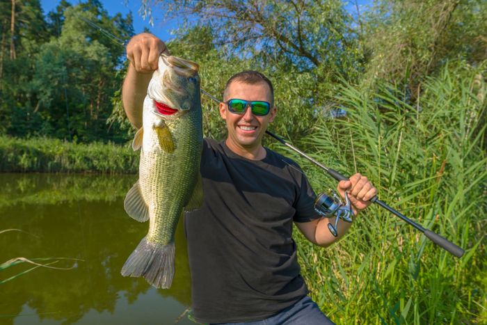 Bass Fishing in Grass