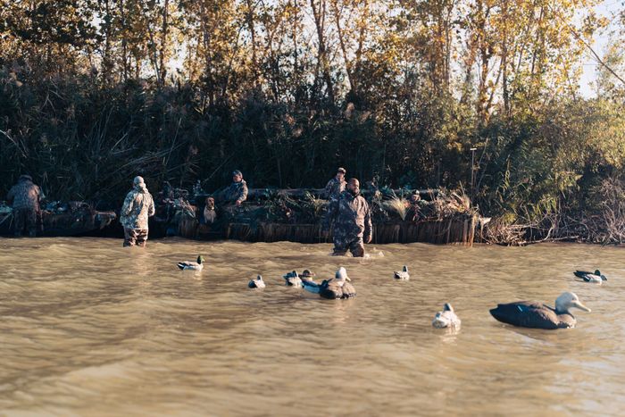 CAPTAIN KEN'S WILD WINGS_DUCK HUNTING-164.jpg