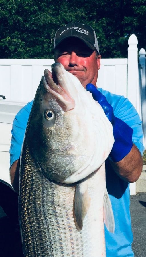 Expert Cape Cod Fishing Charters Captain Talks Striped Bass Tips