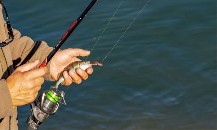 How to Choose the Proper Fishing Line for Your Technique