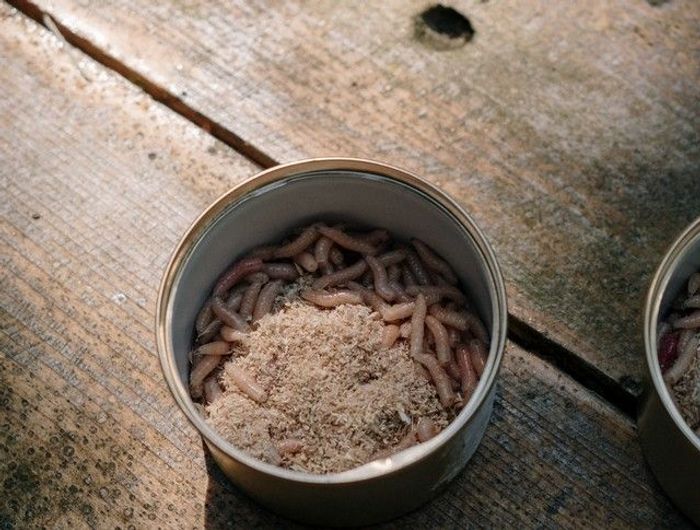 A can of worms placed on a wooden floor