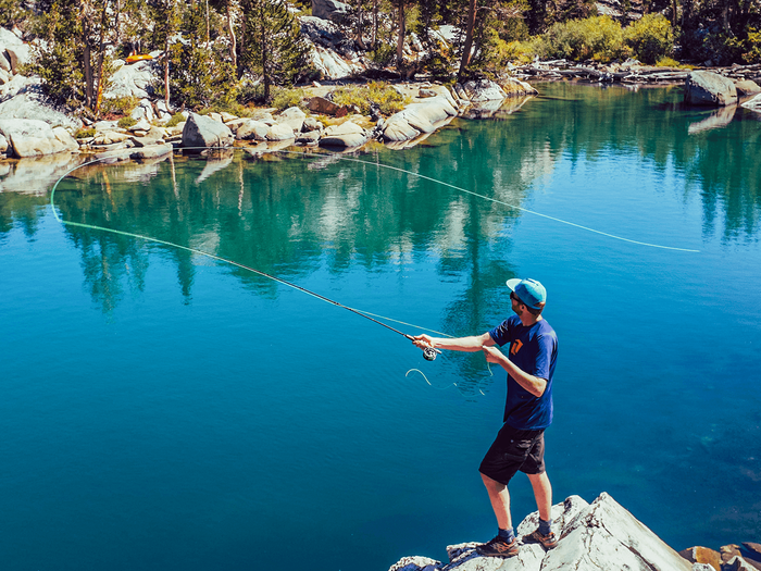 Fly fishing for trout 