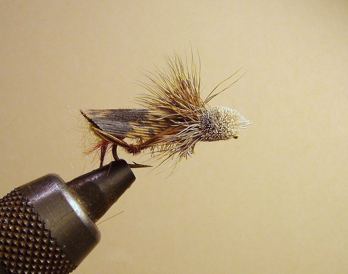Why you SHOULDN'T buy Fly Tying Kits 