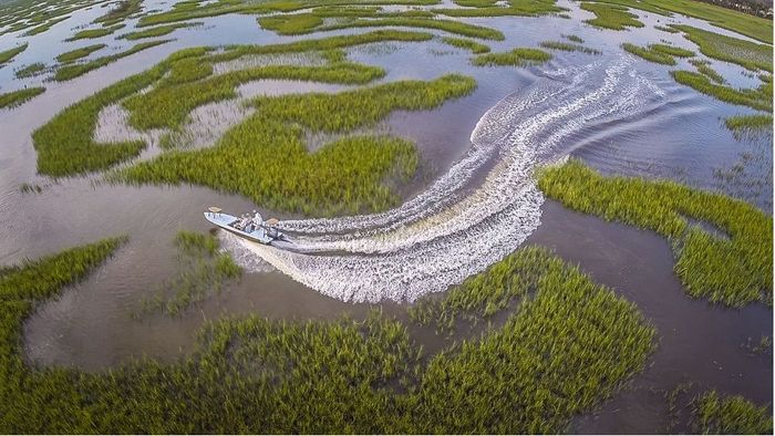 view of a boat drifting on the water body