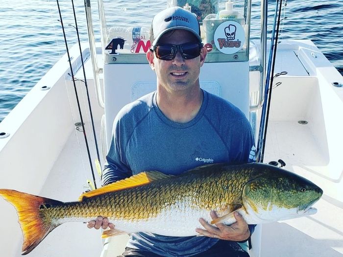 man wearing blue shirt and cap holding a giant fish