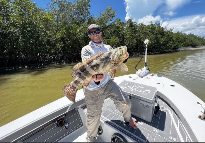 Key Largo Fishing Charter Grouper Catch.jpg
