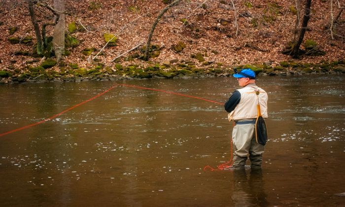 Managing Your Fly Line