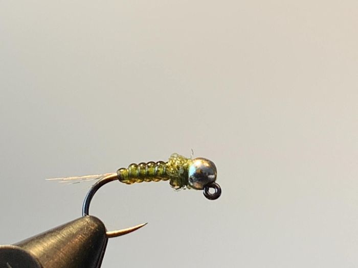 Olive France Nymph Fly Tying