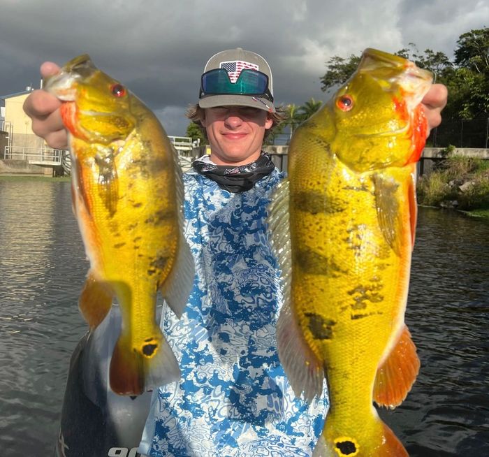 Peacock Bass in Delray Beach FL with Jurassic Park Fishing