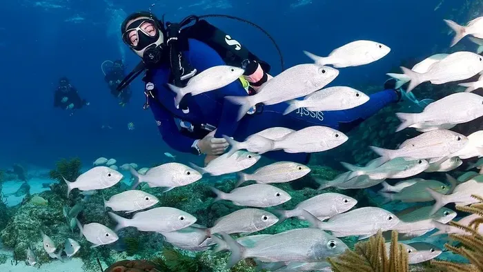 Get your SSI instructor certificate in Islamorada