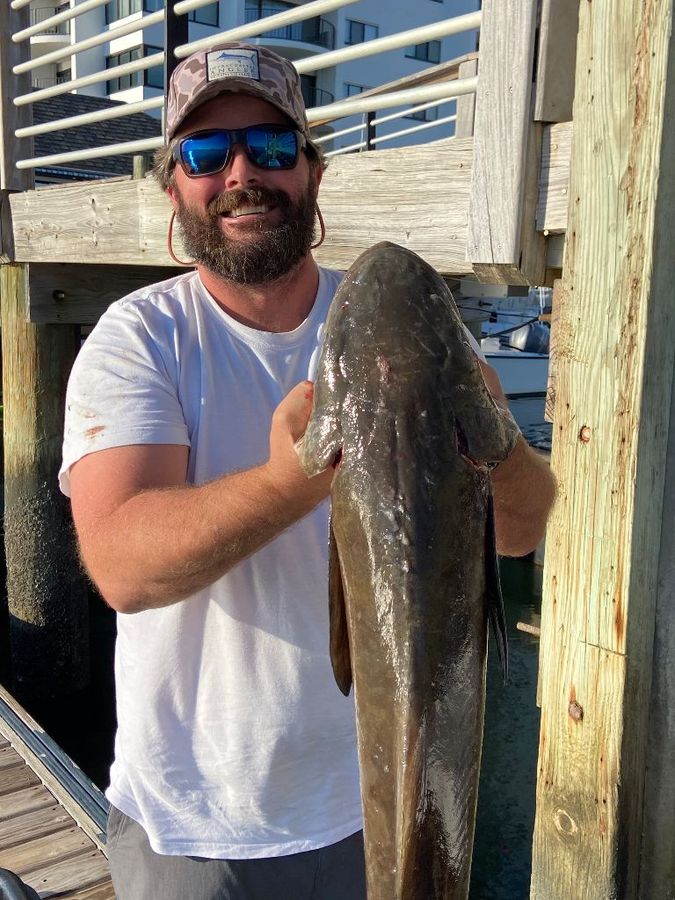 man wearing a white shirt standing on the dock and holding a giant fish