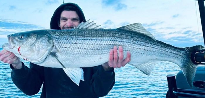 Striper Fishing in Georgia