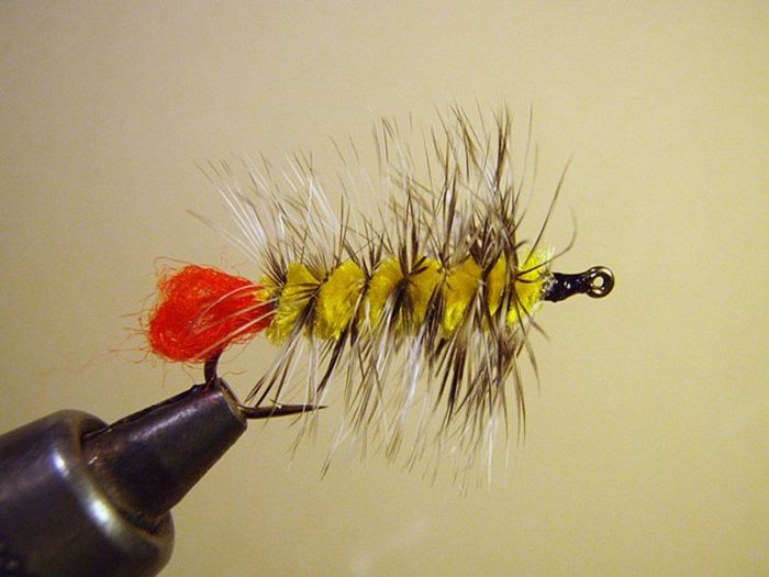 The Wooly Worm - Fly Fisher's Patterns