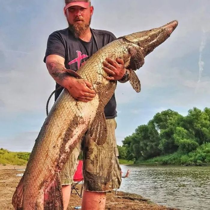 How to catch an alligator gar 