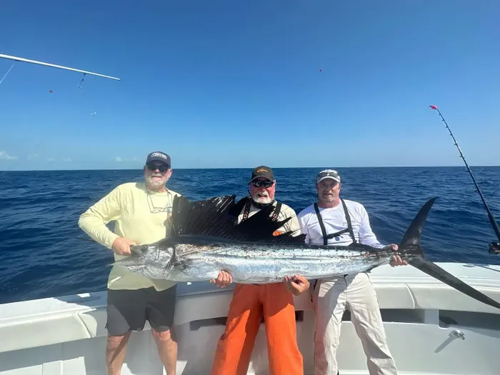 atlantic-sailfish-tavernier-catch-2551.webp