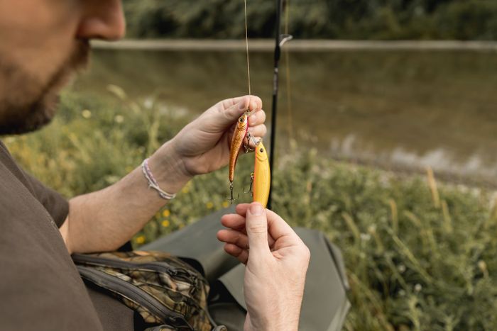 Baits for trout