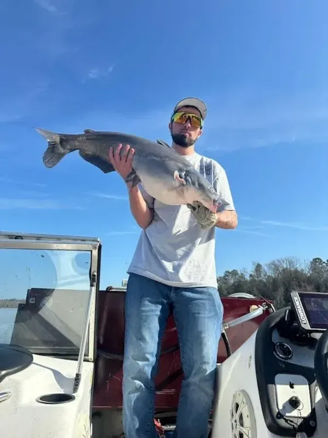 Book a guided catfish fishing trip