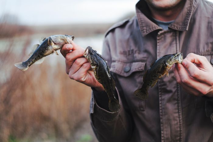 close-up-man-holding-caught-fresh-fish-hands.jpg