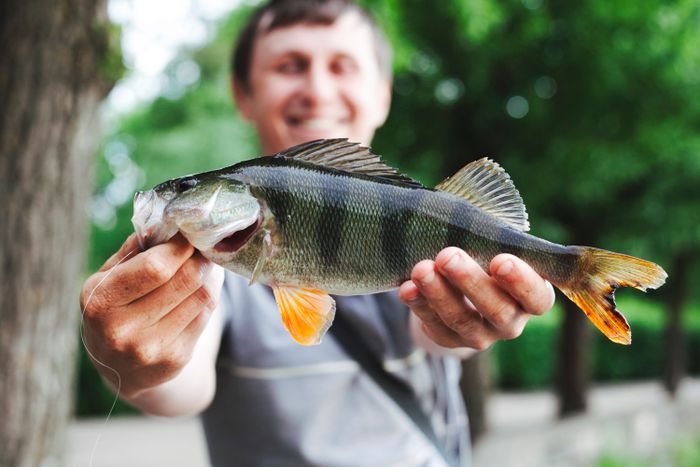 close-up-man-holding-fresh-caught-fish.jpg