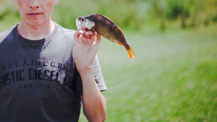 close-up-man-holding-fresh-caught-fish-hand.jpg