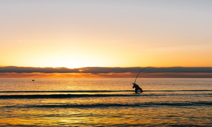 angler surf fishing at sunset
