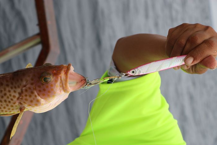 Chum Strategy Fishing