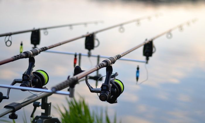 Is an Expensive Fishing Rod Worth It?