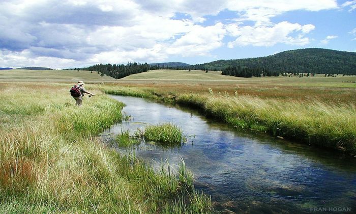 angler, stream, fishing