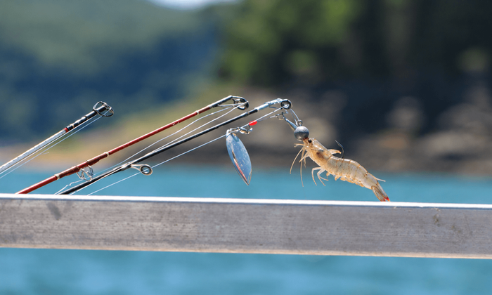 How to Fix Your Live-Bait Jighead Presentation