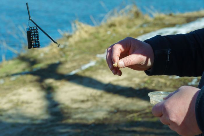 fisherman-puts-worm-hook-before-fishing-fisherman-s-hands-fishing-gear-closeup-sport-fishing-winter-outdoors-open-water.jpg