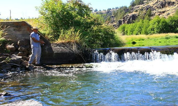 man, fishing, stream, calm weather