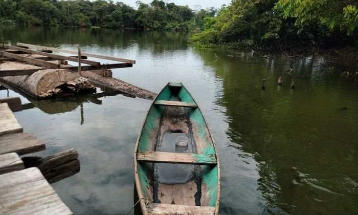 old barca, peaceful lake, logs