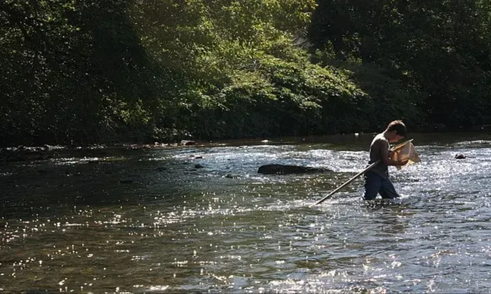 Catch Catfish outside river bends