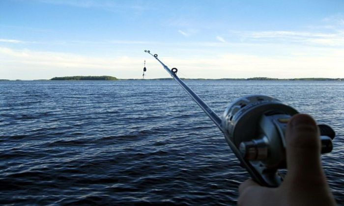 hand holding fishing rod