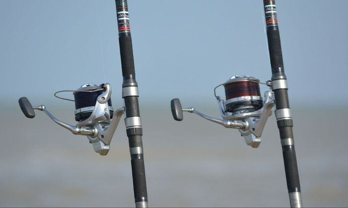 fishing rod, twin