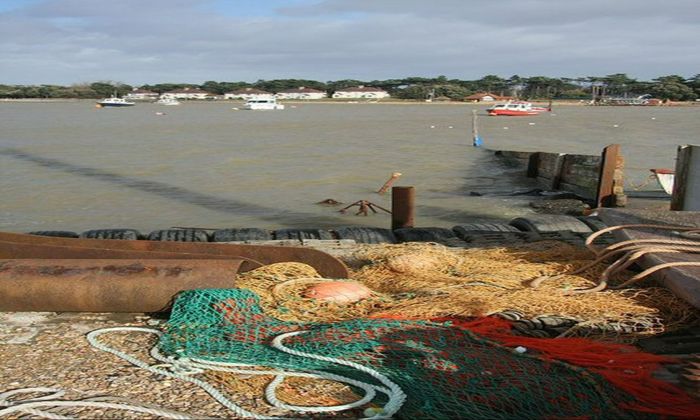 fishing nets, harbor, fishing tackle