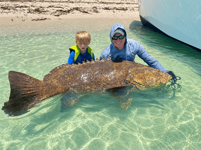 Where to find goliath grouper