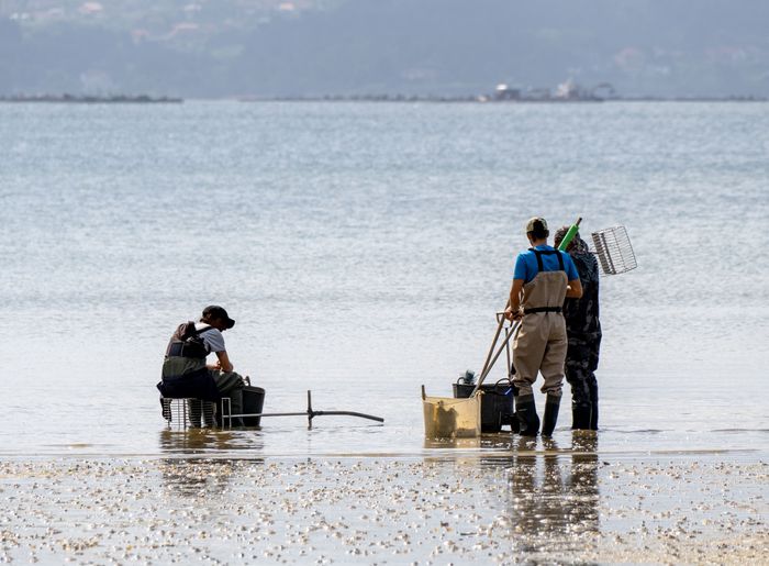 group-fishermen-into-water-beach-collect-clams-mussels-from-beach.jpg
