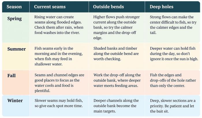 Seasonal Catfish fishing in rivers